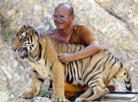 Tiger tempel